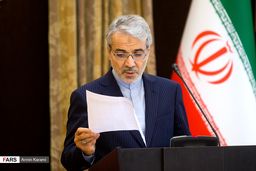 عکس / نشست خبری سخنگوی دولت