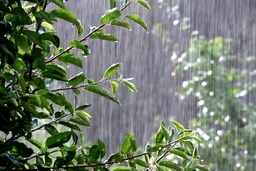 هواشناسی خوزستان هشدار نارنجی بارندگی شدید را صادر کرد
