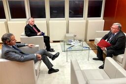 نشست اولیانوف و گروسی درباره ایران