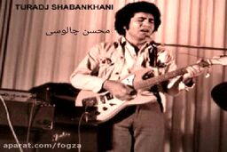آهنگ خاطره انگیز دیگه دیره با صدای خاص استاد تورج شعبانخانی