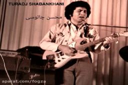 آهنگ خاطره انگیز دیگه دیره با صدای خاص استاد تورج شعبانخانی