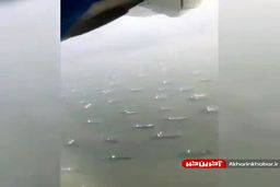 ترافیک سنگین کشتی‌ها در کانال سوئز!