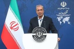 نشست خبری سخنگوی دولت؛ ربیعی نوید ارزانی قیمت مرغ را داد