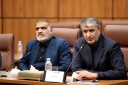 محمد اسلامی: در پی تولید ۲۰ هزار مگاوات برق هسته‌ای هستیم