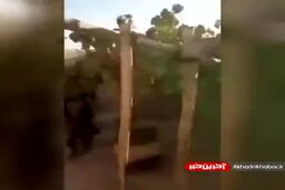 انتشار تصاویری از خانه ملا عمر