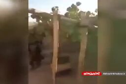 انتشار تصاویری از خانه ملا عمر