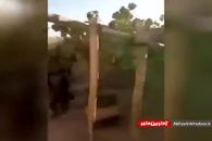 انتشار تصاویری از خانه ملا عمر