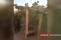 انتشار تصاویری از خانه ملا عمر
