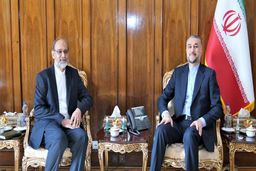 توصیه‌های امیرعبداللهیان به سرکنسول ایران در کربلا