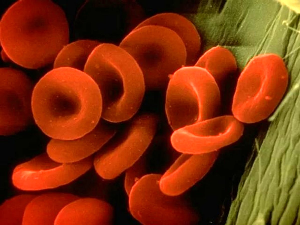 حل شدن یکی از چالشهای سفر به مریخ