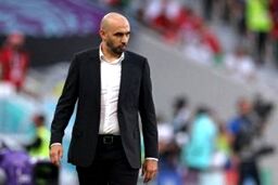 کنایه سنگین رگ را گی: زیاش برای شما می‌میرد!