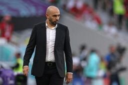 کنایه سنگین رگ را گی: زیاش برای شما می‌میرد!