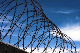 خرید سیم خاردار: انتخاب بهترین گزینه برای باغ و مکان‌های مختلف