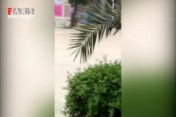 فیلم سیل شدید در خیابان های جزیره قشم