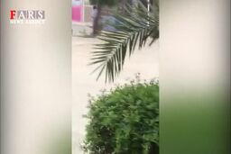 فیلم سیل شدید در خیابان های جزیره قشم