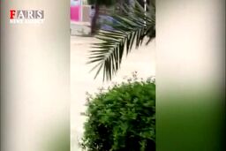 فیلم سیل شدید در خیابان های جزیره قشم