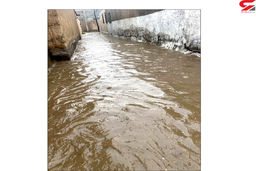 فیلم تلخ از لحظه غرق شدن جوانی در سیل زاهدان / آب او را در مقابل چشم همه برد