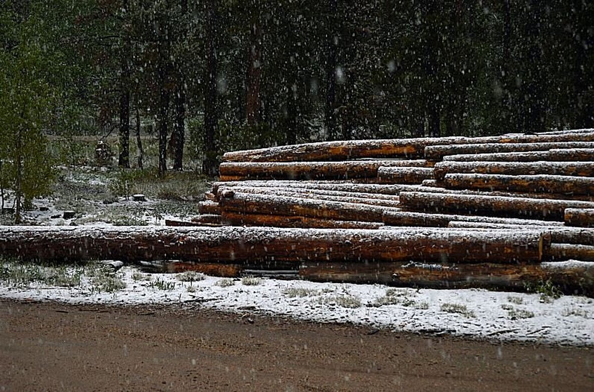 گزارش تصویری: آغاز تابستان با برف شدید
