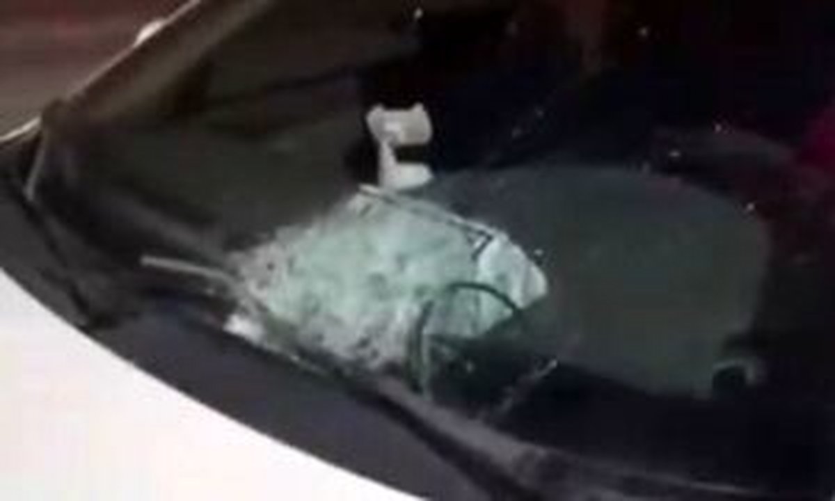 ۲ سنگ پران بزرگراه غدیر دستگیر شدند