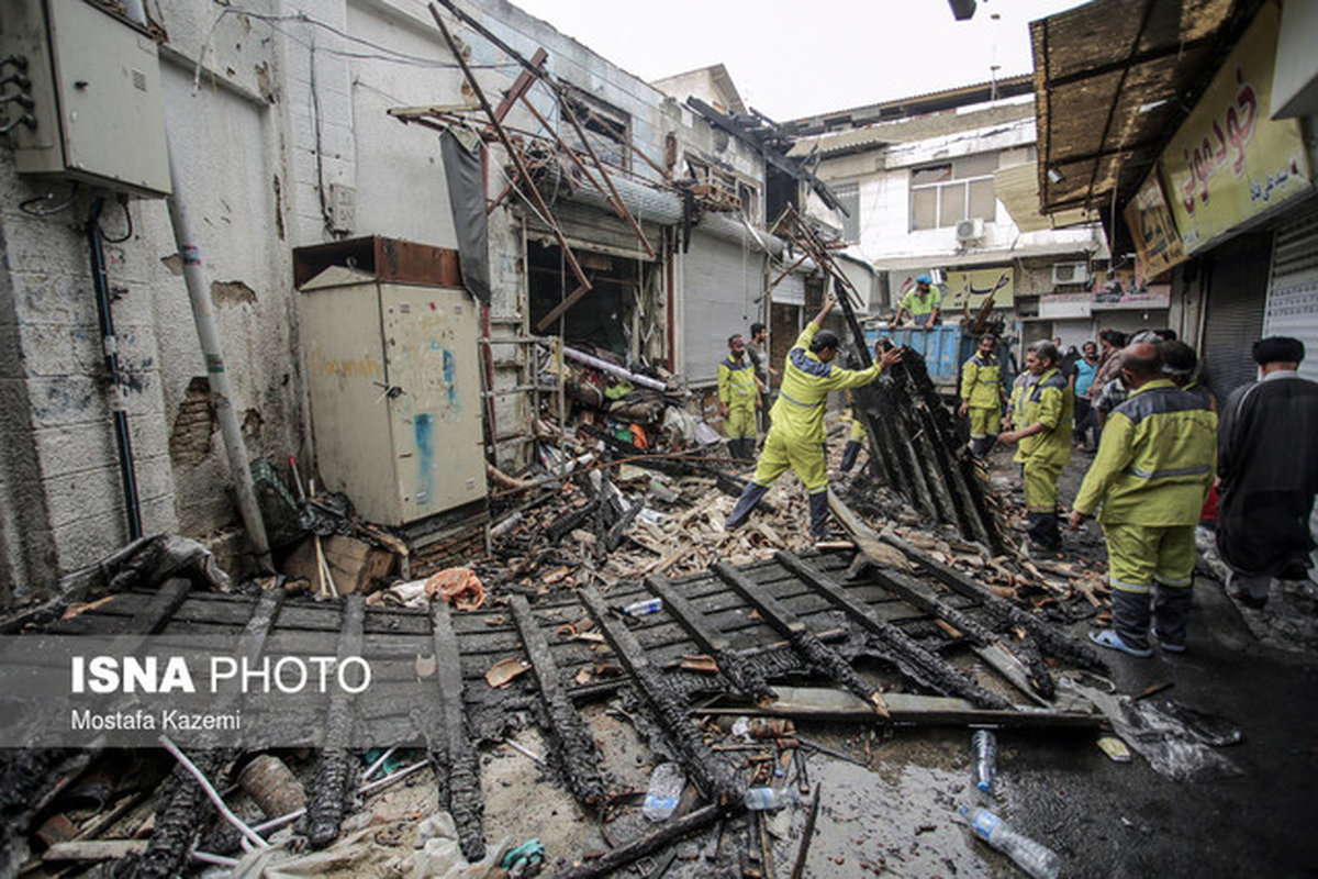 پیر 1000 ساله به خاک سیاه نشست + تصاویر