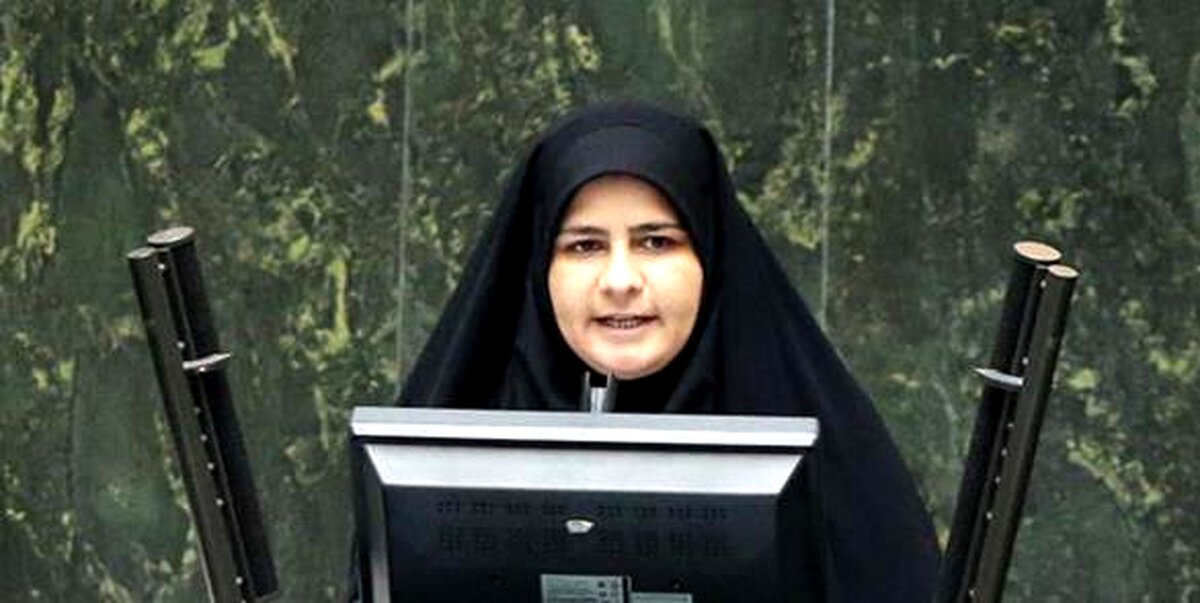 بانوی نماینده: امیدوارم اقتصادی که به دست ۶۰ ساله ها به باد دادیم به دست جوانان احیا کنیم