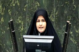 بانوی نماینده: امیدوارم اقتصادی که به دست ۶۰ ساله ها به باد دادیم به دست جوانان احیا کنیم