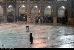 عکس / بارش باران در حرم امام رضا (ع)
 