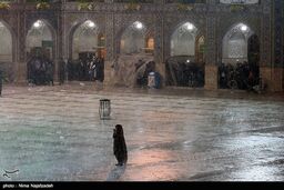 عکس / بارش باران در حرم امام رضا (ع)
 
