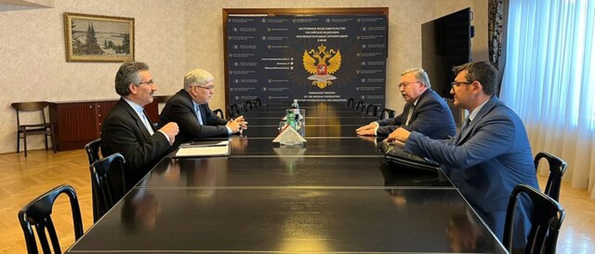 دیدار اولیانوف با نماینده ایران در آژانس بینالمللی انرژی اتمی