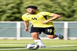 اللهیار می‌تواند در لیگ چمپیونشیپ زنده بماند!