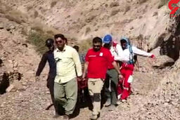 کشف جسد زن گمشده در کرمان به کمک سگ های زنده یاب + جزئیات