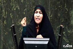 مخالف وزیر پیشنهادی رفاه: عبدالملکی برنامه عملیاتی برای حوزه اشتغال و تعاون ارائه نکرده است