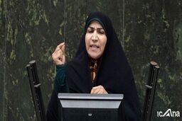 مخالف وزیر پیشنهادی رفاه: عبدالملکی برنامه عملیاتی برای حوزه اشتغال و تعاون ارائه نکرده است