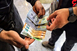 این 96 نفر بازار ارز را مختل کرده بودند