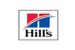 بهترین غذای گربه برتر، سالم و خوشمزه