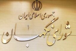  از ۶۳۷ گزارش واصله مردمی۶۸ مورد از تخلفات انتخاباتی ارجاع شد