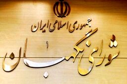  از ۶۳۷ گزارش واصله مردمی۶۸ مورد از تخلفات انتخاباتی ارجاع شد