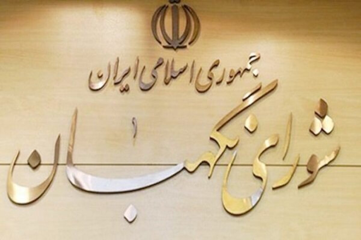  از ۶۳۷ گزارش واصله مردمی۶۸ مورد از تخلفات انتخاباتی ارجاع شد