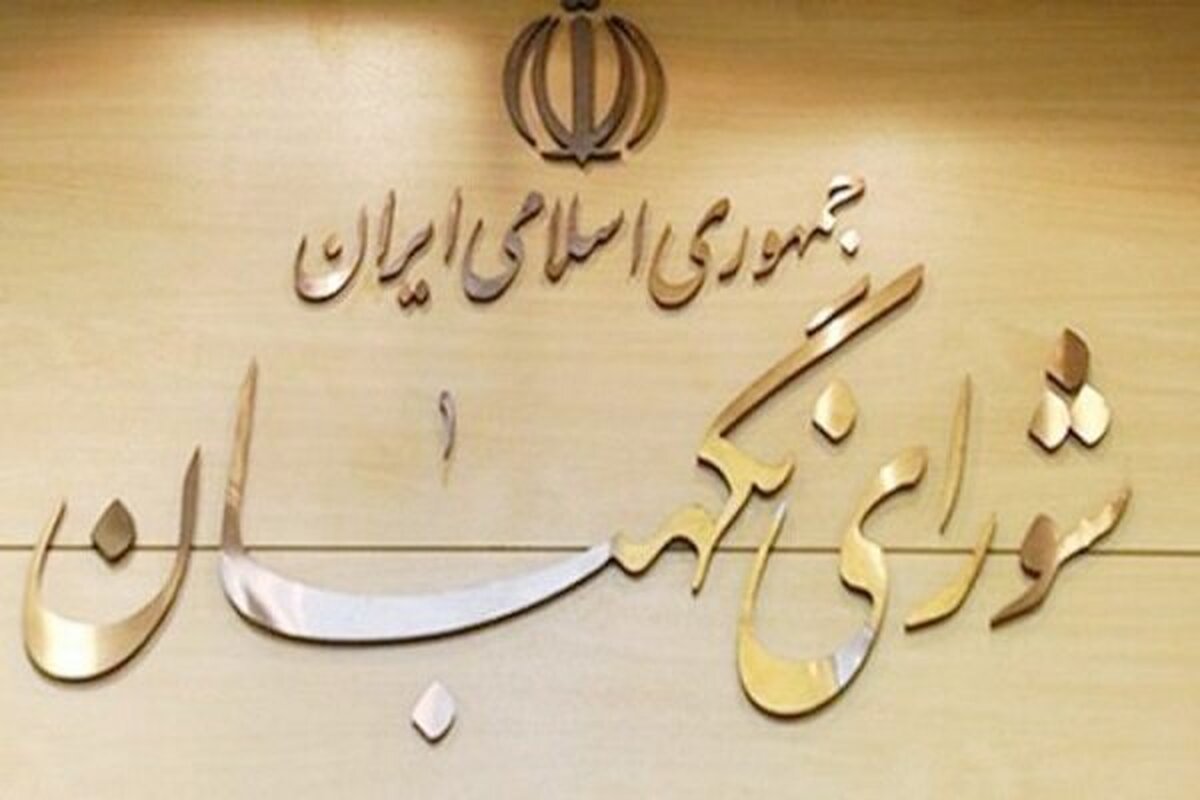  از ۶۳۷ گزارش واصله مردمی۶۸ مورد از تخلفات انتخاباتی ارجاع شد
