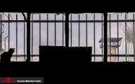 شکنجه روحی و جسمی یک شهروند ایرانی در سوئد؛ ایران خواستار تحقیق مستقل شد
