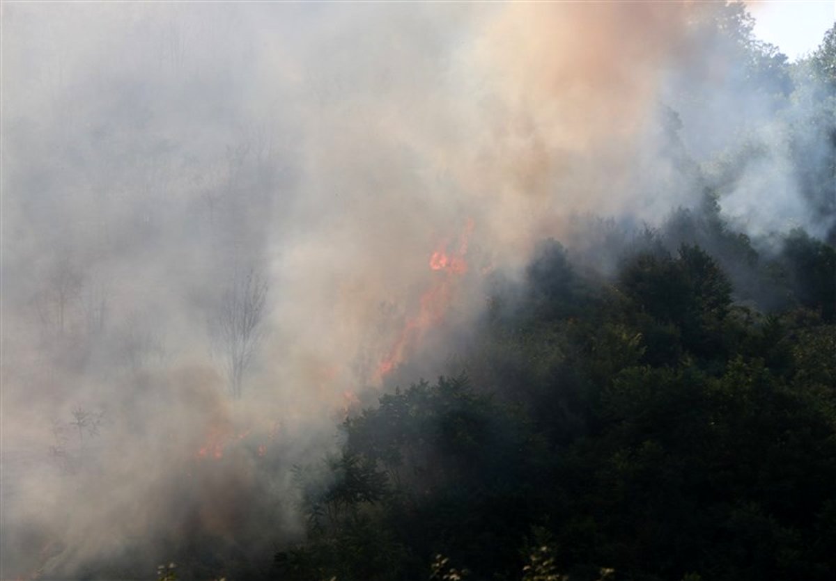 متهمان حادثه آتشسوزی پارک ملی گلستان شناسایی و دستگیر شدند