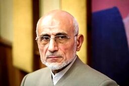 انتقاد تند عضو سابق موتلفه درباره میرسلیم + عکس