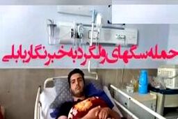 حمله ۶ سگ ولگرد به خبرنگار بابلی +فیلم