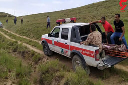  درگیری مرگبار اهالی دو روستای قوچان به خاطر داروی گیاهی کاکوتی