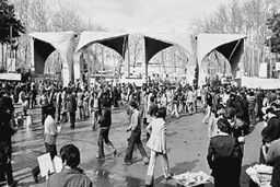 موج مدرک‌گرایی تهی از دانش