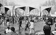 موج مدرک‌گرایی تهی از دانش