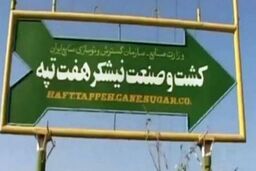 هفت تپه به بیت المال بازگشت