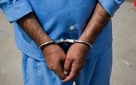 پایان وحشت آفرینی های 2 شرور خطرناک در مهرآباد / پلیس وارد عمل شد