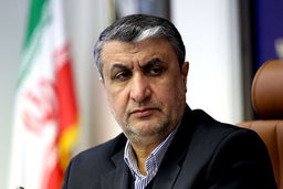 انتظار اسلامی از گروسی: بخشی از جریان فشار علیه کشور ما نباشید