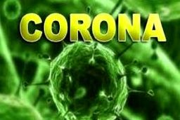 چی بخوریم ویروس کرونا نگیریم